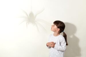 Woher Kommt Die Angst Vor Spinnen? – Welche Ursachen hinter Arachnophobie stecken und wie sie entstehen kann.