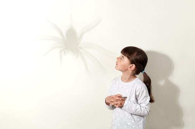 Woher Kommt Die Angst Vor Spinnen? – Welche Ursachen hinter Arachnophobie stecken und wie sie entstehen kann.